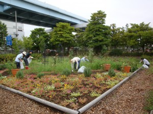 活動中