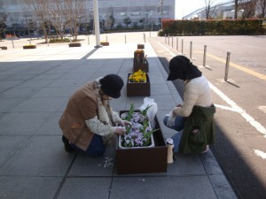 花がら摘み