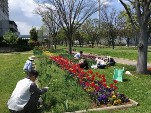 エントランス広場除草