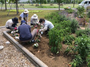 西口花壇植付け