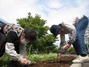 種まき中1