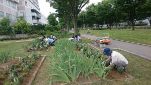 植替え