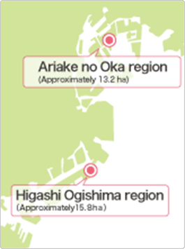 The Tokyo metropolitan area is the heart of Japan's government and economy, and a region where the country's population and functionality is highly centralized. The damage caused by the Great Hanshin (Kobe) earthquake has shown us that, in the event of a large-scale disaster, extensive damage that spans across prefectures can be expected.n preparation for such large-scale disasters, the first-stage decision of the Urban Regeneration Project, which calls for upgrading basic wide-area disaster prevention bases in the Tokyo Bay waterfront area,was advanced in the Ariake no Oka and Higashi Ogishima regions for the realization of a central stage where regional disaster facilities across the Tokyo metropolitan area could collaborate and perform emergency relief activities.