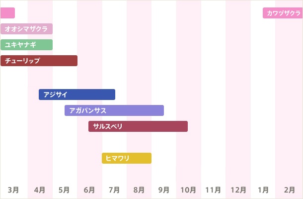 開花カレンダー