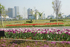 多目的広場・草地広場