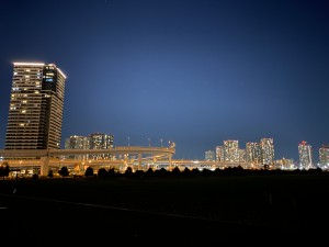 並木を抜けると臨海部の夜景を一望